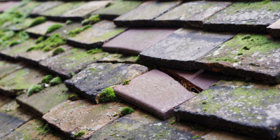 Warmley roof repair costs